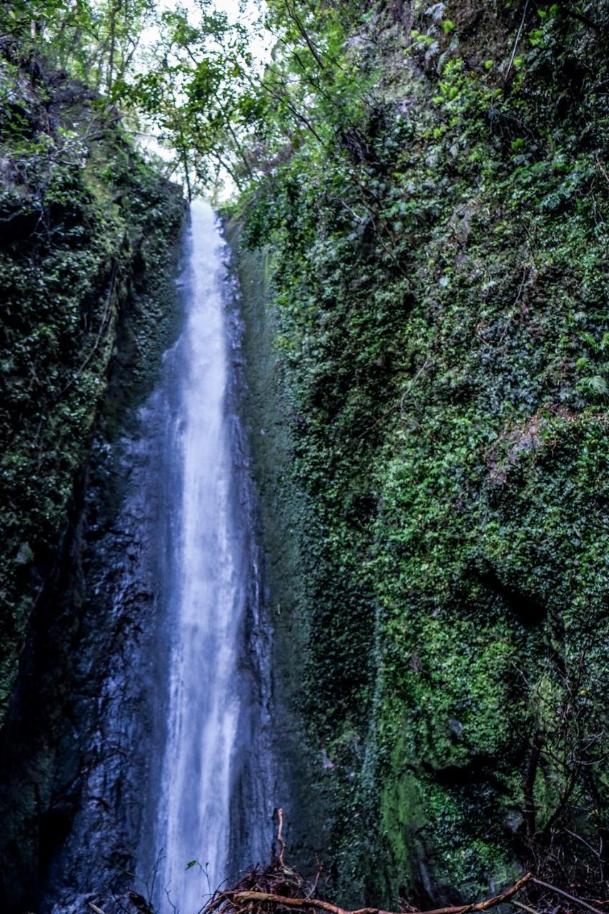 Recidencia Del Hamor Sorsogon Екстериор снимка